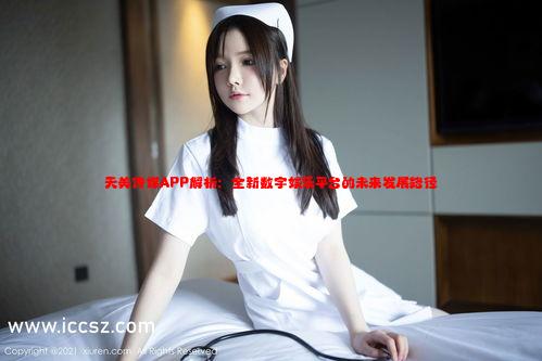 天美传媒APP解析：全新数字娱乐平台的未来发展路径